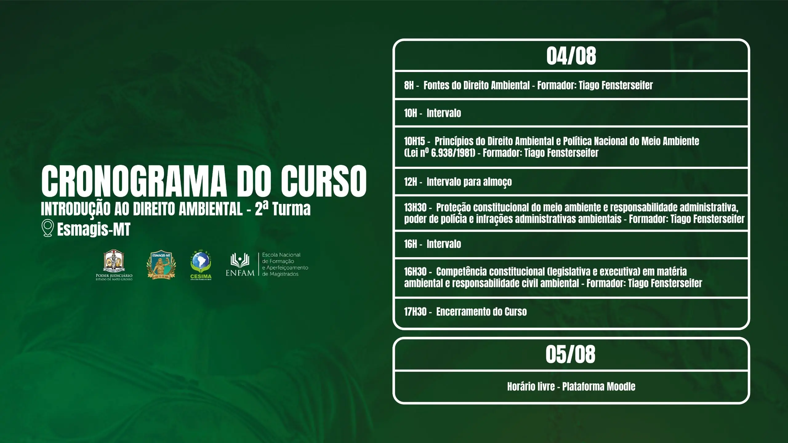 Arte digital com fundo em tons de verde e o título 