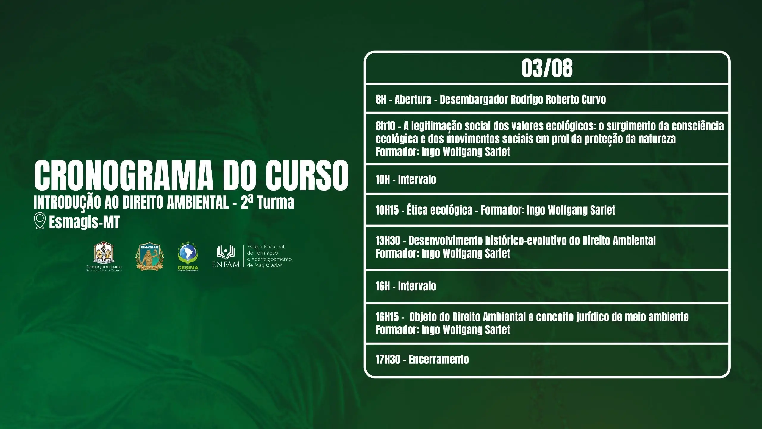 Arte digital com fundo em tons de verde e o título 
